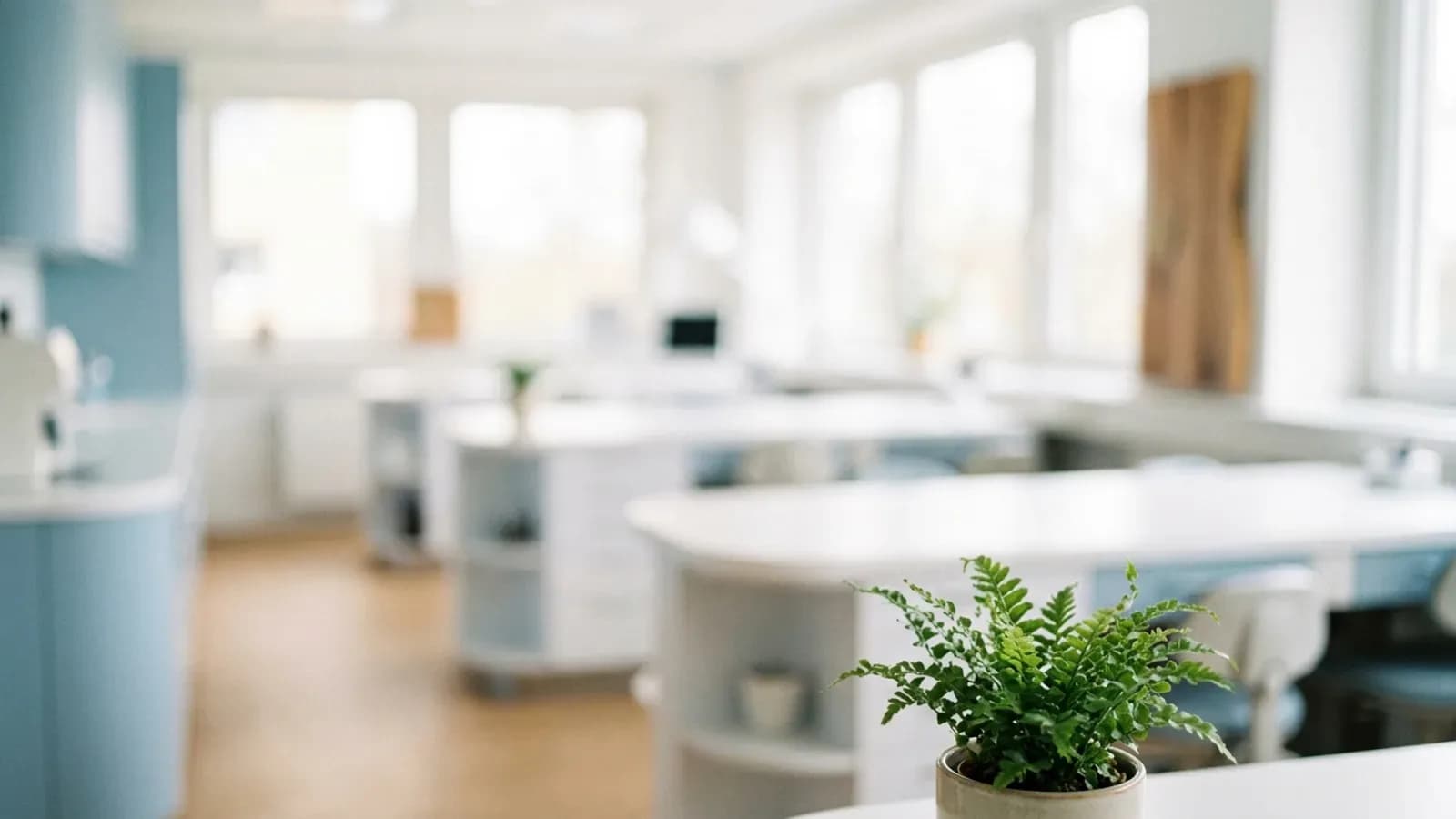 Bright modern lab room with white work surfaces and large windows, out of focus, with a green plant in the foreground