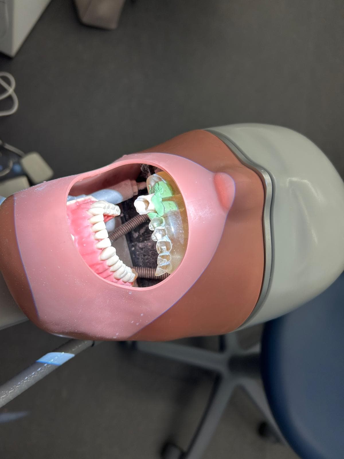Endo PraxisPro - Basic