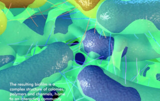 Biofilm auf dem Zahn